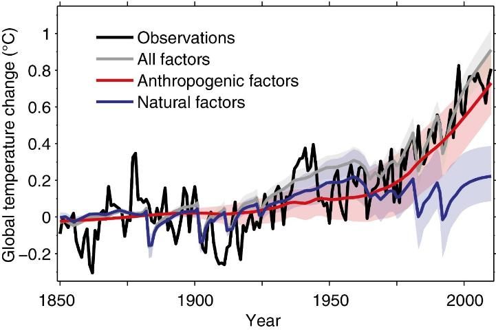Figure 1. Temperature change simulations from anthropogenic (or human-caused) factors (red line), natural factors (blue line), and a combination of factors (gray line) compared to the observed temperature change globally (black line).
