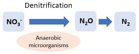 Figure 5. Denitrification is the conversion of nitrate (NO3-) to nitrous oxide (N2O) and dinitrogen gas (N2) by anaerobic microorganisms.