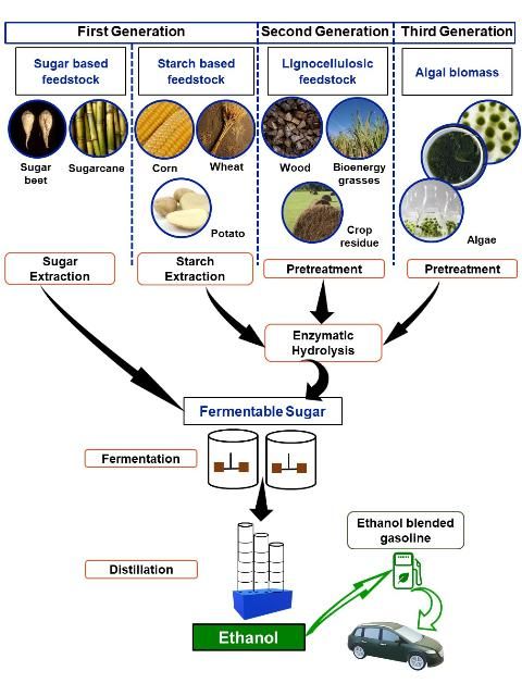 Figure 1. Schematic pathways of first-, second-, and third-generation ethanol production.