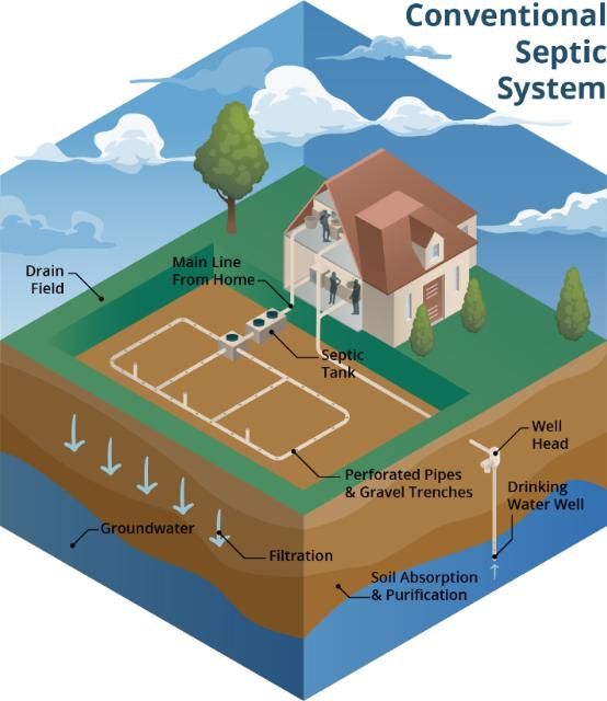 Figure 1. A conventional septic system consisting of a septic tank and drainfield. The septic tank is buried in the soil and collects household waste. As waste collects in the septic tank, solids settle to the bottom of it and the liquid (called effluent) flows out to the drainfield, or soil area through which effluent percolates downward.