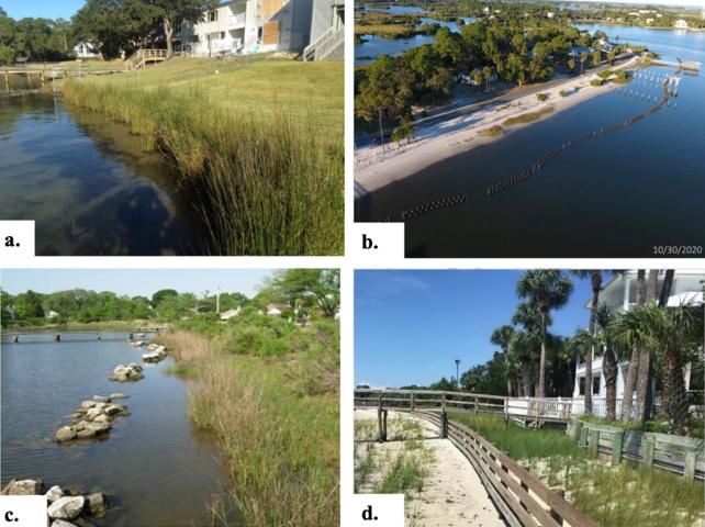 Figure 1. Examples of living shorelines. Living shorelines can take many forms. For example, they may include shoreline buffers made of only vegetation as in panel a, or they can include elements such as sills of materials made to recruit oysters (panel b) or rock breakwaters (panel c). The living shoreline in panel d includes two zones of vegetation (high and low marsh, separated by a fence) deployed adjacent to a bulkhead structure.