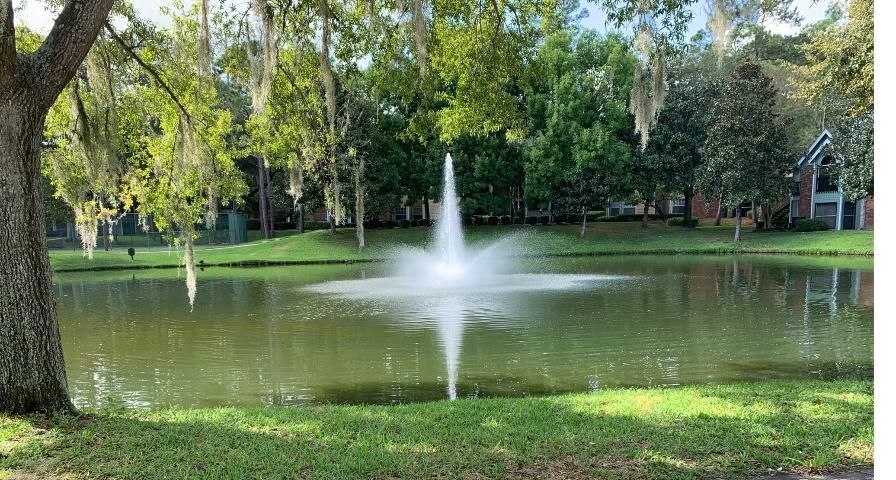 A stormwater pond in a residential neighborhood in Gainesville, FL. This fountain provides important functions to the pond while also providing aesthetic benefits.