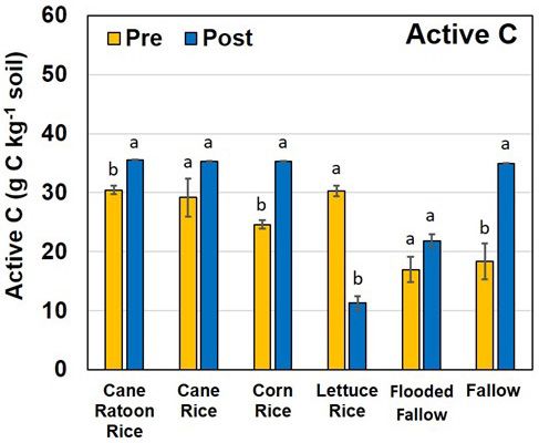 Figure 8. Changes in soil active carbon content pre and post six farming practices (mean and standard deviation). Different lowercase letters correspond to significant differences (p = 0.05).