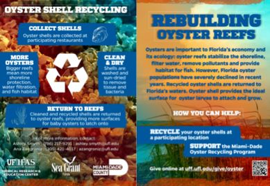 Two sides of a promotional and educational material used at partnering organizations. 