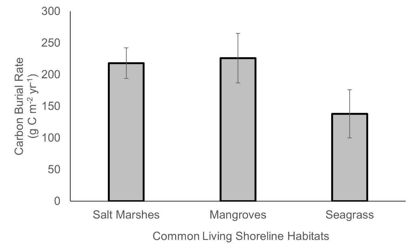 Annual carbon burial of natural habitats commonly created or left in place as living shorelines. 