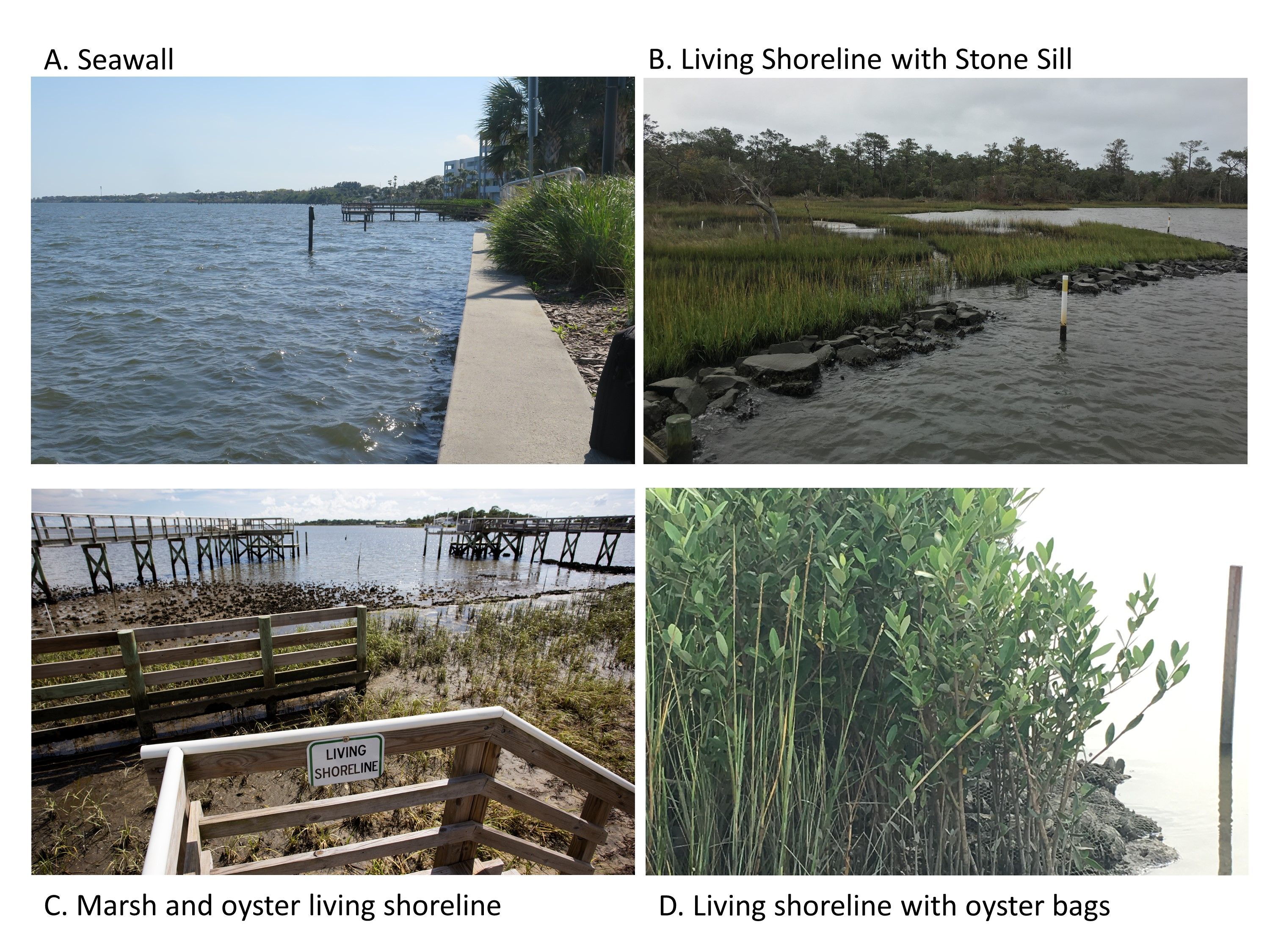 Examples of different types of shoreline stabilization.