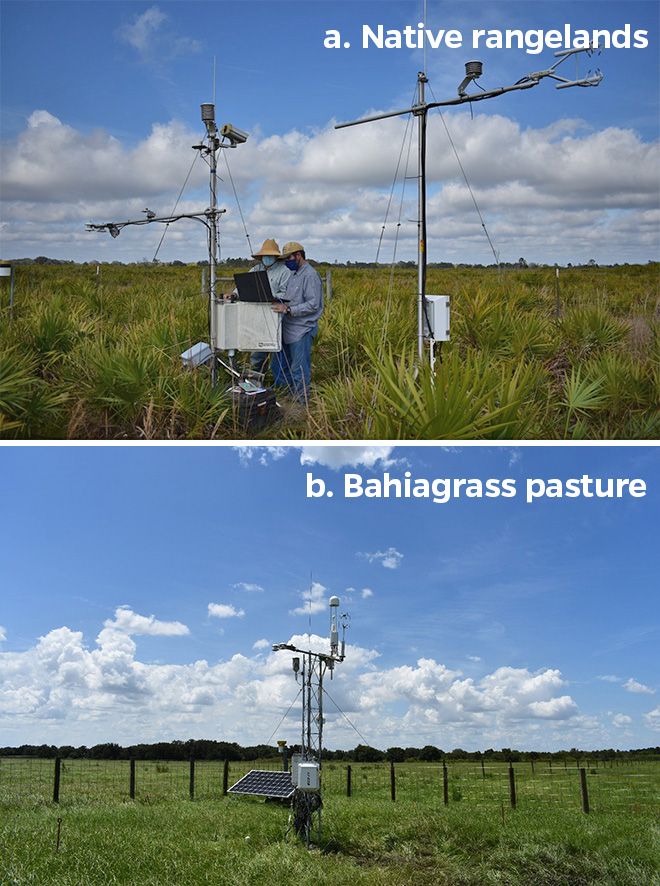 Eddy covariance towers (a micrometeorological method that continuously measure the concentration of the gases in the atmosphere) installed in native rangelands and bahiagrass pastures at the USDA, Long-Term Agroecosystem Research (LTAR) site in Ona, FL.