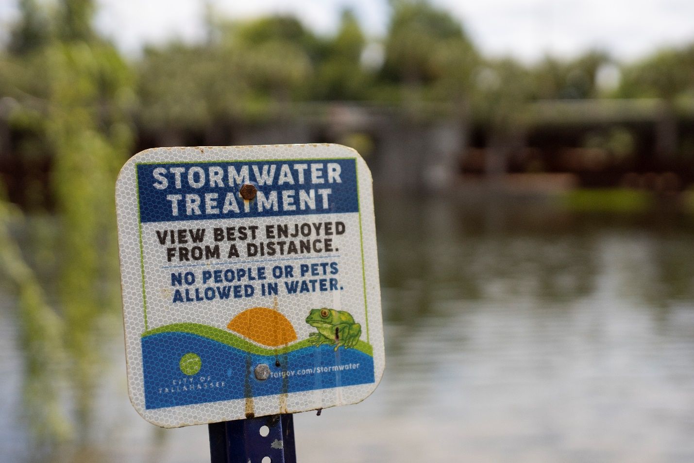 Stormwater ponds and other stormwater treatment areas collect excess rainfall from the land. This stormwater is often polluted with various substances. Actions can be taken to reduce pollutants in stormwater runoff and thus help keep our ponds and other water bodies clean.  
