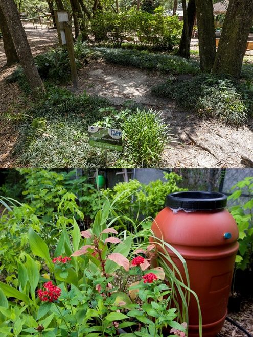Rain gardens are pervious areas of the landscape that can soak up rainwater and prevent stormwater runoff. Rain barrels can also be incorporated into the landscape to collect excess rainwater and prevent runoff. 