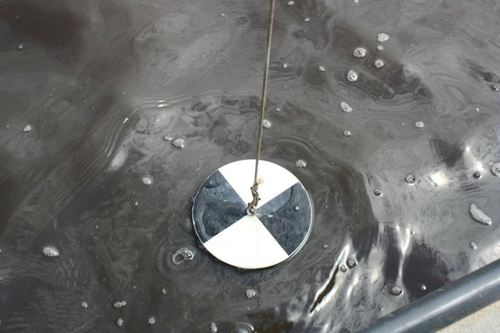 A Secchi disk is a black and white circular disk used to measure water clarity. The disk is slowly lowered into the water until it is no longer visible. It is then slowly raised until it becomes visible again. The depth when the disk first becomes visible is then measured and referred to as ‘Secchi Depth’. Higher Secchi Depth values indicate clearer water. 