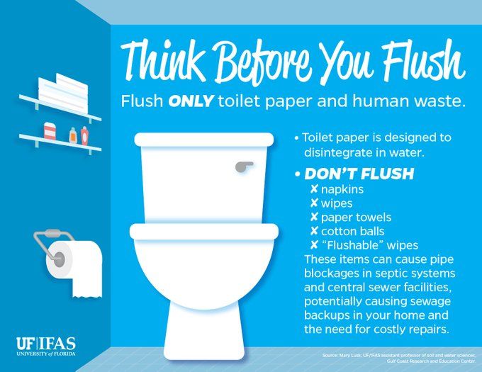 Only human waste and toilet paper should be flushed down the toilet. 