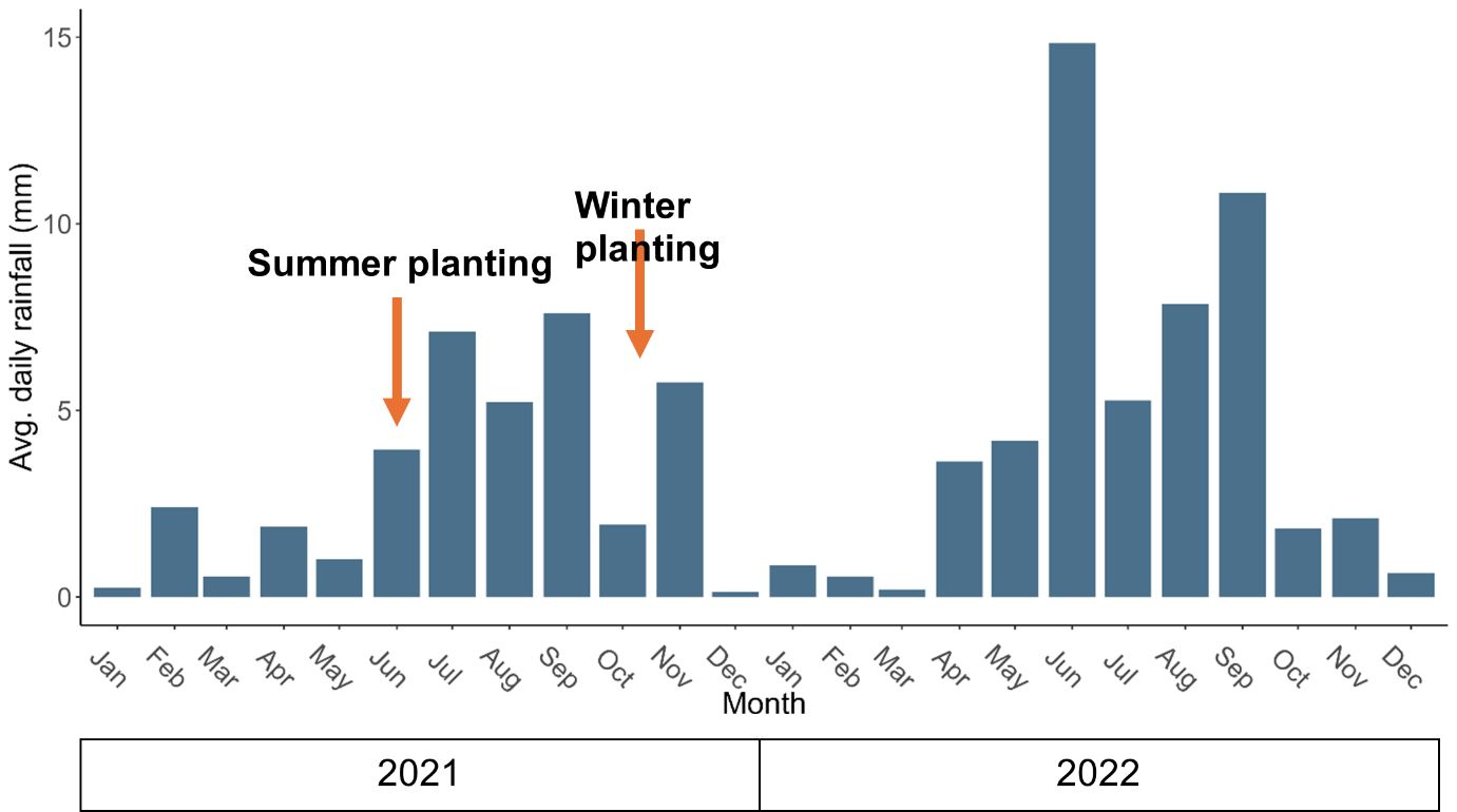 A graph of growing plants

AI-generated content may be incorrect.