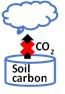 Icon of a diagram where an X covers an arrow labeled carbon dioxide that points up from soil carbon below to a cloud above.