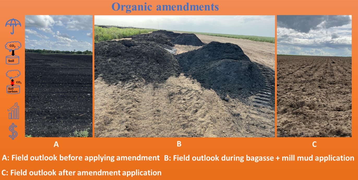 Progression of applying organic amendments: first an example of an empty field with an even spread of one soil type; then a few mounds of bagasse and mill mud amendments placed in that field; and lastly the amendments spread evenly over all the soil. Icons are present for the following soil conservation benefits: soil cover, carbon sequestration, oxidation reduction, improved health and growth, and save and make money.