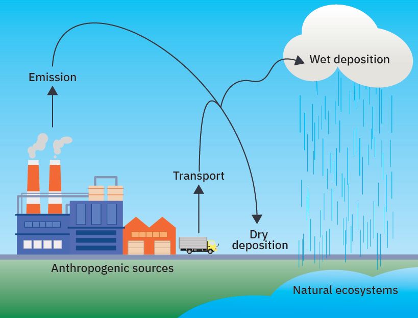 Schematic of how wet and dry deposition form from human-made sources, such as power plants and vehicle emissions. Emission goes to dry deposition. Transport goes to wet deposition, which goes to natural ecosystems.