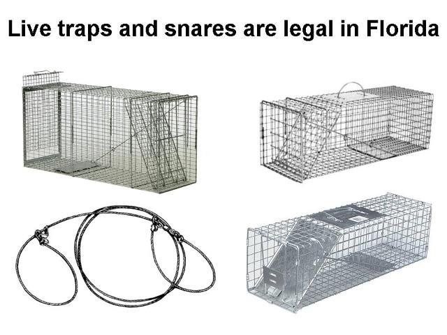 Figure 9. Live traps, cage traps, and snares are legal for capturing nuisance wildlife and furbearers if they are checked at least once every 24 hours.