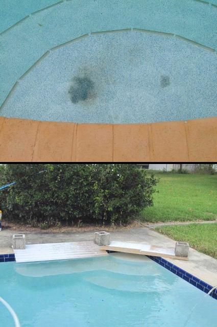 Figure 8. Raccoons will defecate on the steps in a swimming pool. Cover the steps with plastic sheet or panels to deny them access to the top step.