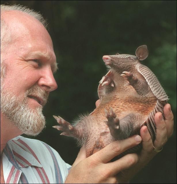 Figure 2. Dr. Joe Schaefer examines an armadillo.