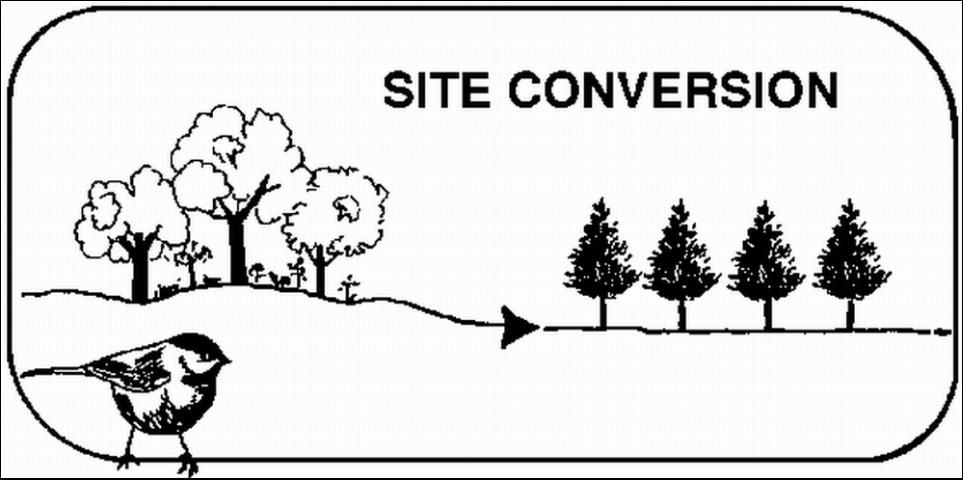 Figure 4. Site conversion changes the dominant species of trees in a forest stand.