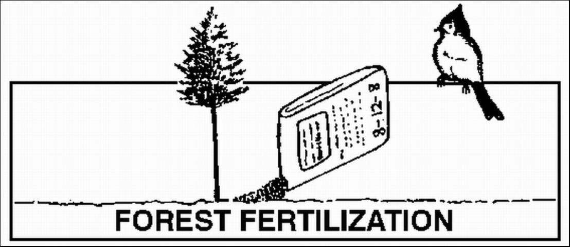 Figure 8. Fertilization can increase the rate of growth of pines.
