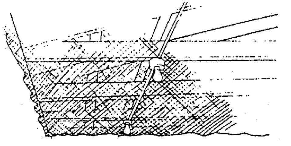 Figure 3. Exclusion with bird netting or chicken wire.