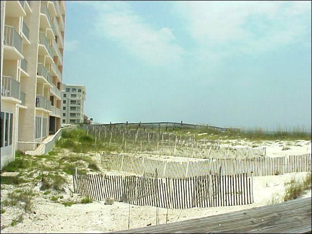 Figure 6. Conversion of dunes to vacation resorts destroys beach mouse habitat.