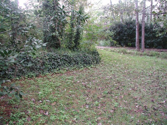 You can reduce mowed lawn by leaving low-traffic areas unmowed and by planting ground cover plants to replace grass.