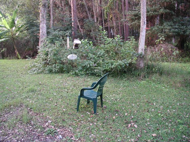 Yards can be designed and managed for both wildlife and humans.