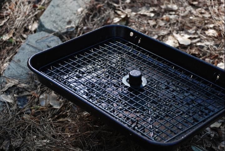 Figure 3. Platform feeders are comprised of a flat, raised surface on which seeds, fruits and other foods are spread.