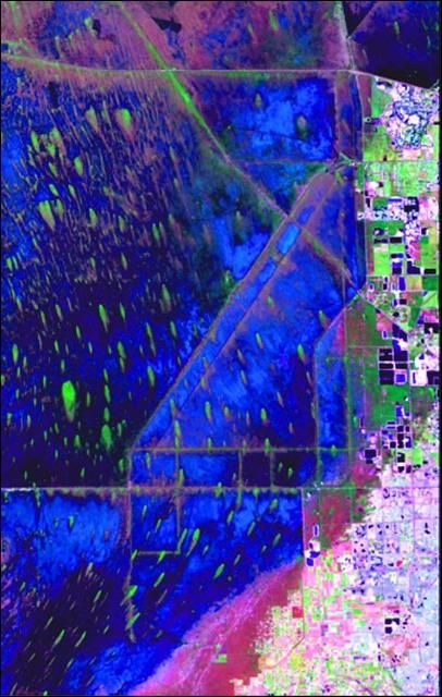 Figure 6. Detailed image of ridge and slough area. Green tear drops are tree islands, altered beneath Tamiami Trail due to flow redirection.
