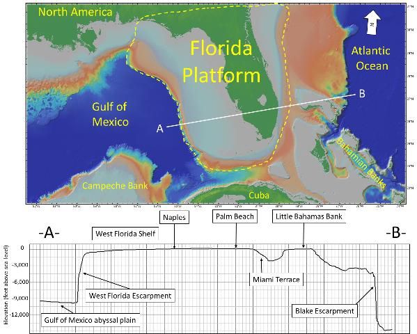Figure 1. (Top) Map of the modern-day Florida peninsula (in dark green); located on the eastern side of the Florida Platform (denoted by yellow dashed line); (bottom) Profile of elevation and depth (in feet above sea-level) along the A-to-B transect. Note vertical exaggeration ˜ 65.