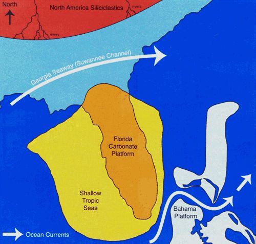 Figure 3. Map of Georgia Seaway flow that prevented the North American siliciclastic sediments from depositing on the Florida Carbonate Platform.