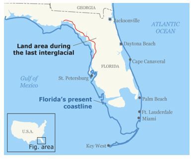 Figure 8. Sea-level visualization of the last interglacial period (~120,000 years ago); the blue line represents the present coastline. The red line denotes the general location of the Cody Scarp, which is an indicator of the past coastline.