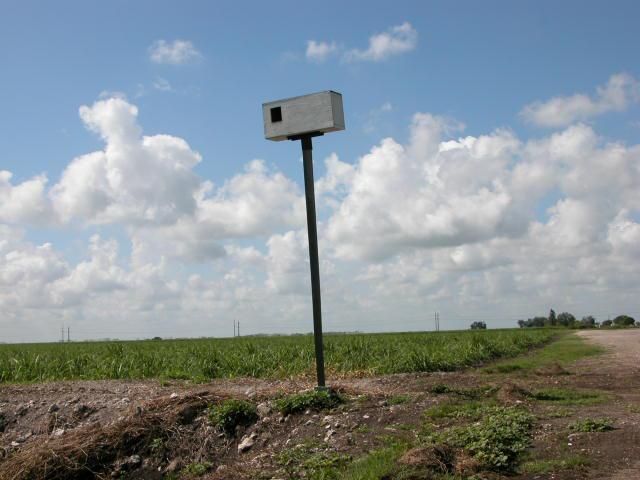Figure 5. Barn owl nest box in the Everglades Agricultural Area in southern Florida.