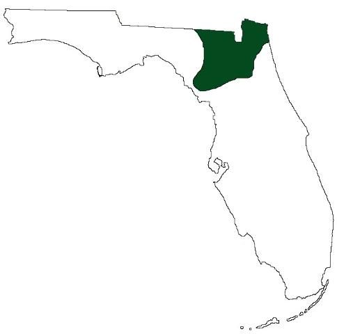 Figure 9. Florida distribution of the timber rattlesnake: only northern Florida.