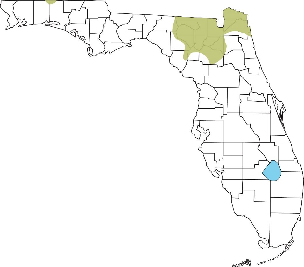 Unlabeled county map of Florida showing shaded area in the northeast covering all of Nassau, Union, Bradford, Baker, Columbia, Hamilton, and Suwannee Counties and parts of Duval, Clay, Alachua, Gilchrist, and Dixie Counties, as well as a small shaded area in the pandhandle covering part of the northern borders of Okaloosa and Walton Counties.