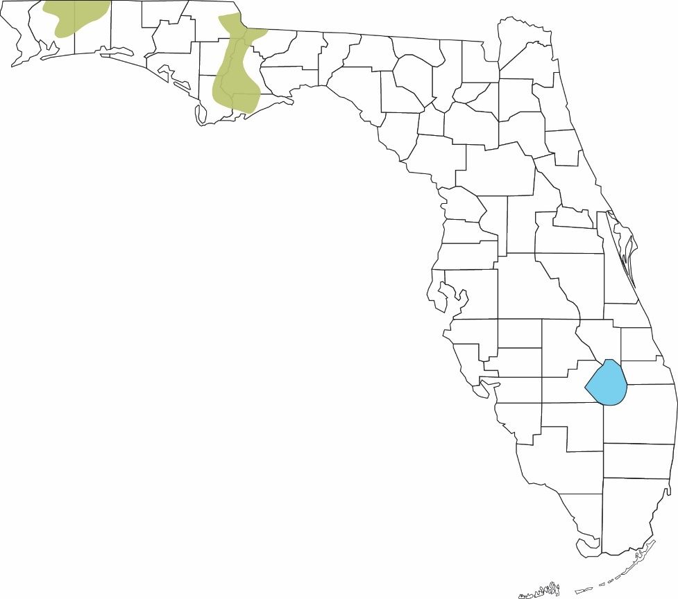 Unlabeled county map of Florida with two regions shaded in the Panhandle.  One covers parts of Santa Rosa and Okaloosa Counties, and the other parts of Jackson, Gadsden, Calhoun, Liberty, Gulf and Franklin Counties.