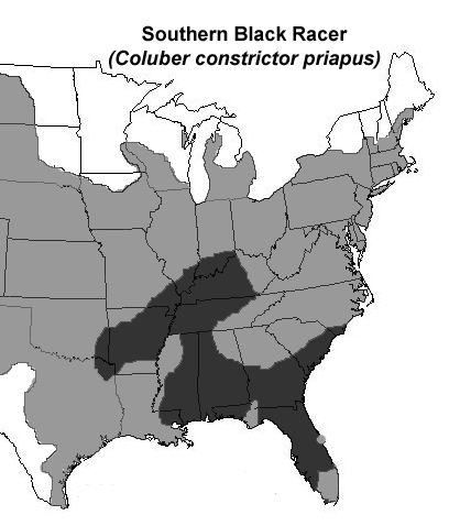 Figure 14. Southern black racer range (shown in dark gray, other black racer subspecies in light gray).