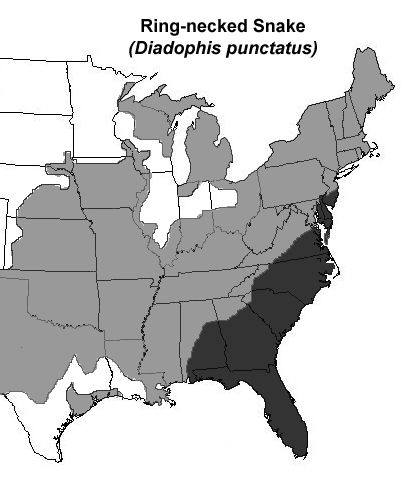 Figure 5. Southern ring-necked snake range (shown in black, other ring-necked subspecies in gray).