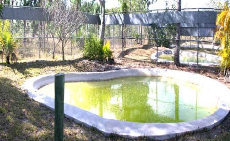 Figure 1. Shallow concrete pond, recommended for one or two adults or several juveniles.