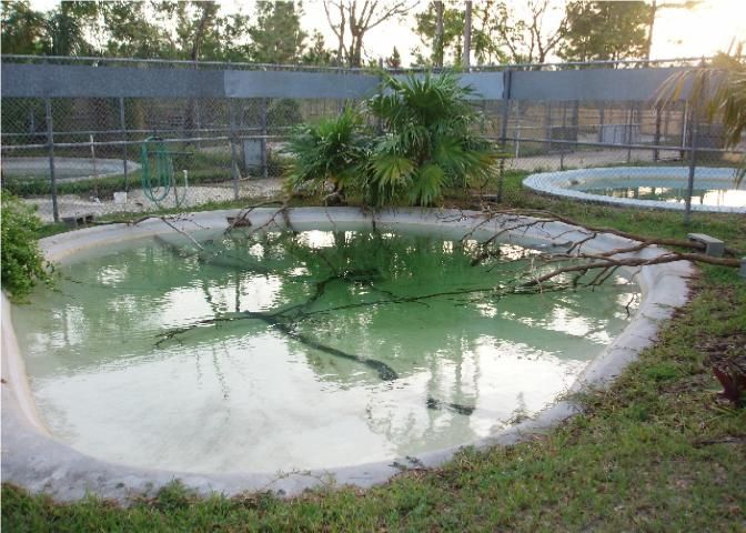Figure 11. Enclosure with a regular-shaped pond with logs and branches to create barriers.