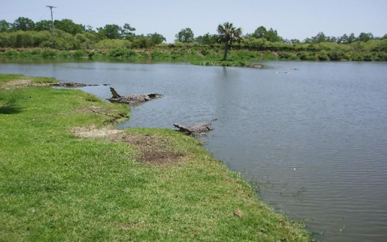 Figure 2. Natural-style pond more suited to adults.