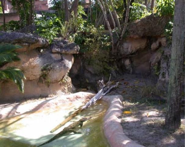 Figure 3. Crocodilian exhibit enclosure. Open to the public.