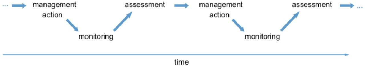 Figure 1. Iterative cycle of adaptive management.