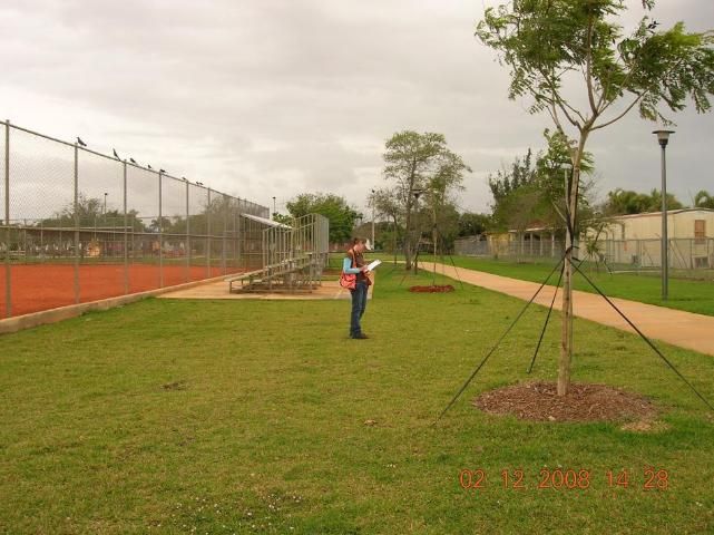 Figure 1. A representative school site that is dominated by turfgrass in Miami-Dade.