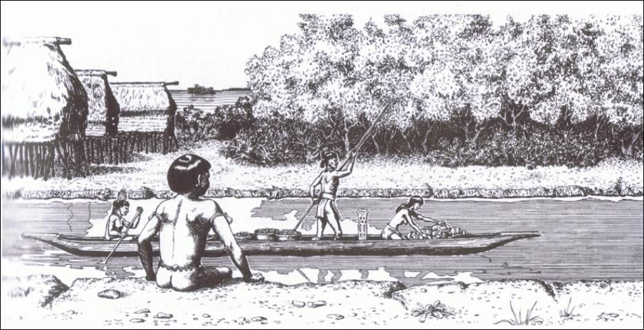 Figure 2. A Calusa boy watches a canoe pass in a village canal.