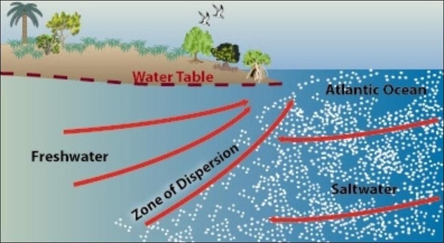 Figure 12. Saltwater intrusion into coastal aquifers.