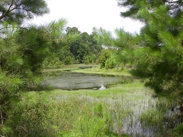 Figure 3. An enhanced stormwater basin used to treat runoff.