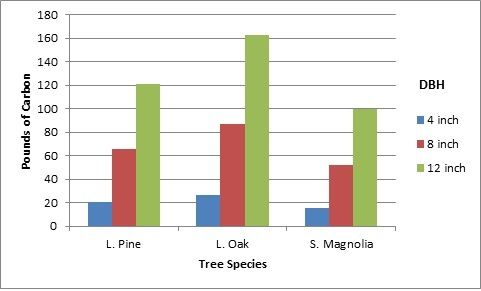 Figure 3. The amount of carbon emissions avoided by one tree, expressed in pounds per year based on tree species and diameter at breast height (DBH) for a single residence area in Gainesville, Florida. Calculations provided by i-Tree Design Beta Calculator http://www.itreetools.org/design.php