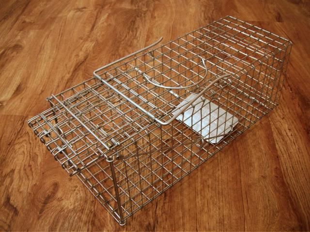 Figure 1. Wire cage trap.